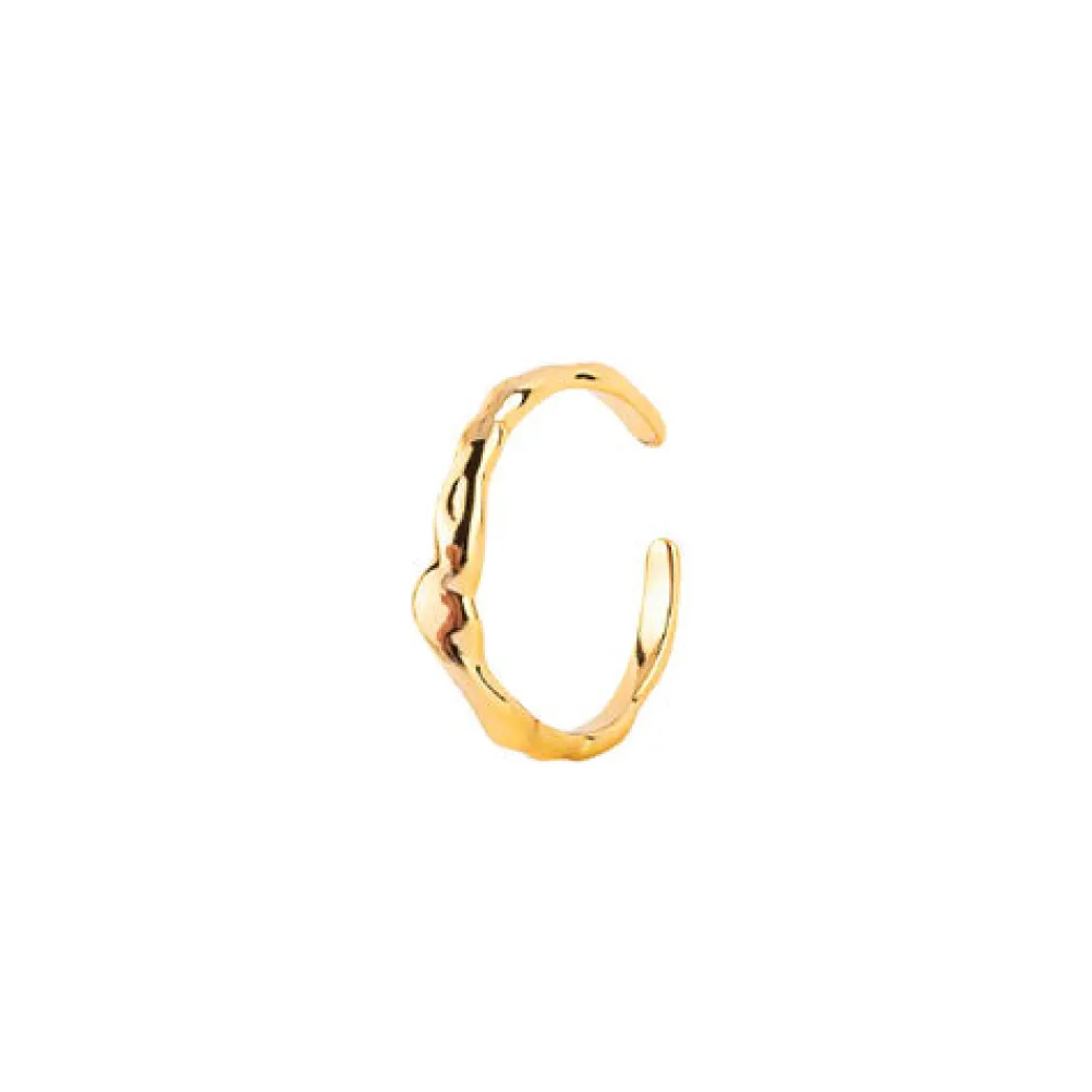 HOUSE OF VINCENT Manifestation Ring