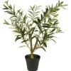 IB LAURSEN 9895-00 Olivenbusk i Potte