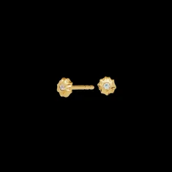 MAANESTEN Caia Earrings (guld/sølv)