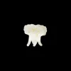MAANESTEN Pasha Hair Claw Shell
