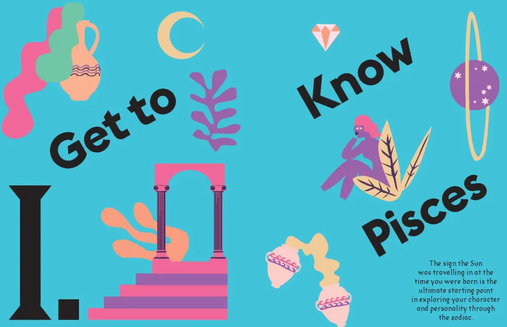 NEW MAGS Book Pisces