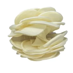 PICO COPENHAGEN Giant Satin Rose Claw Nude