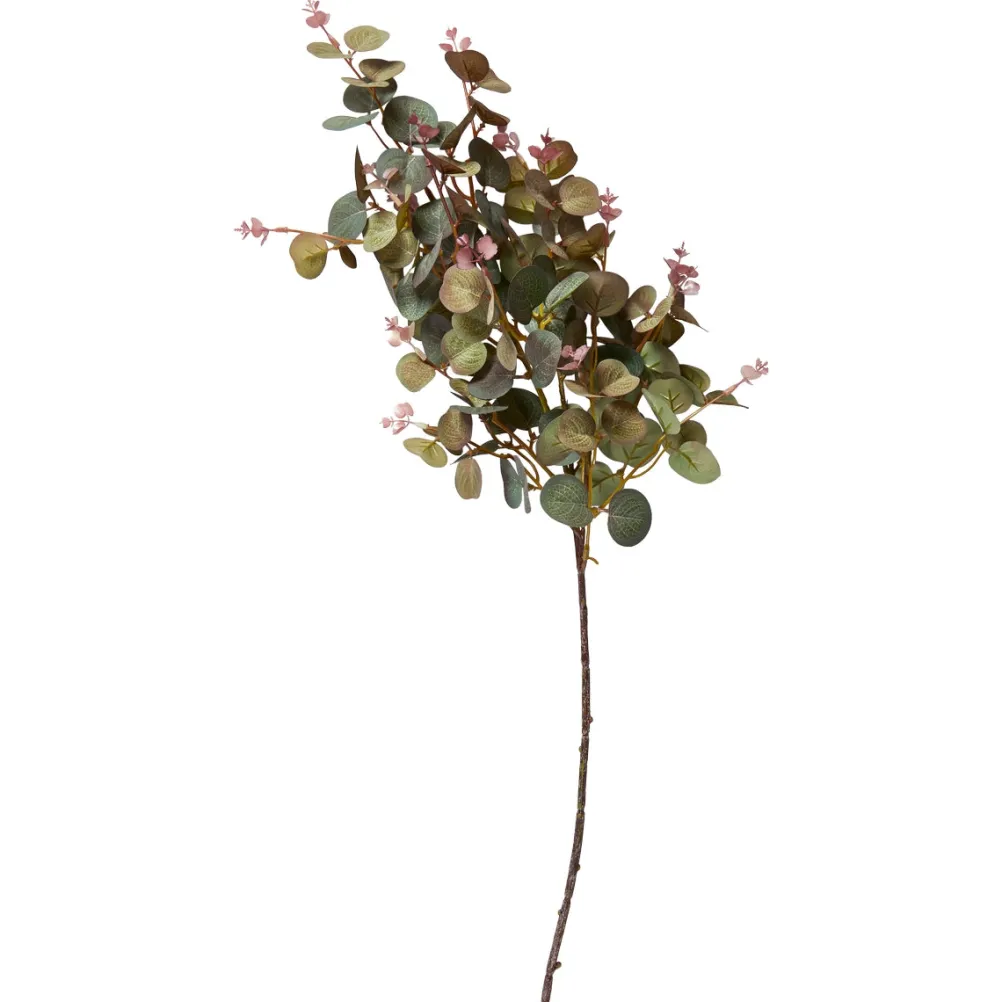 SPEEDTSBERG 225038 Eukalyptus