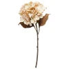 SPEEDTSBERG 204959 Hortensia