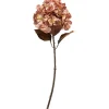 SPEEDTSBERG 204963 Hortensia